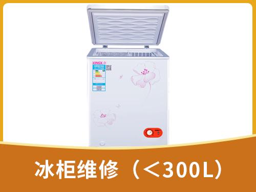 冰柜维修（＜300L）