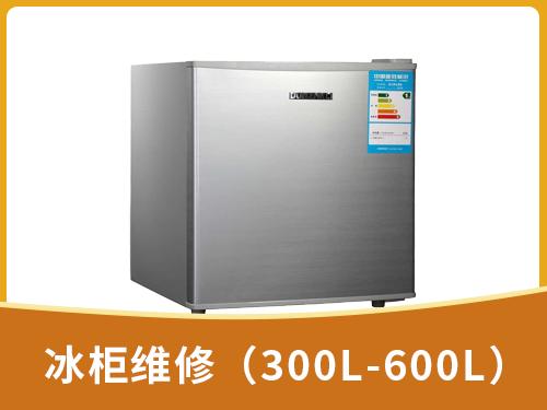 冰柜维修（<300L-600L）