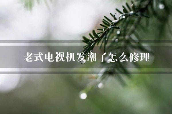 老式电视机发潮了怎么修理