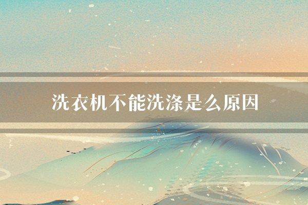 洗衣机不能洗涤是么原因