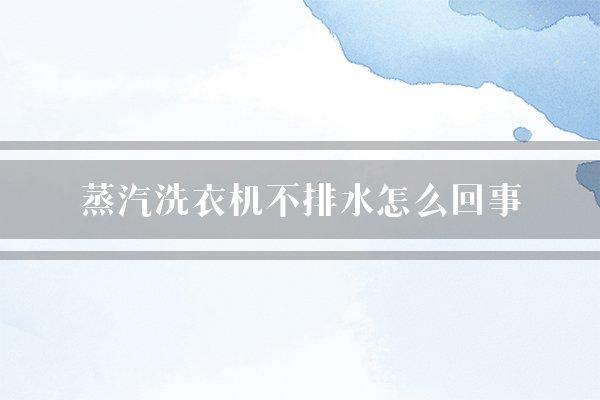 蒸汽洗衣机不排水怎么回事