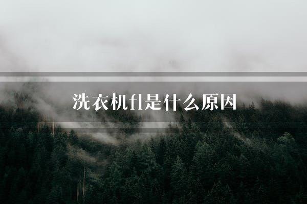 洗衣机f1是什么原因